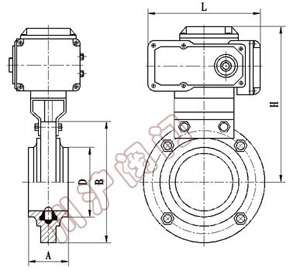 电动卫生级蝶阀外形尺寸 